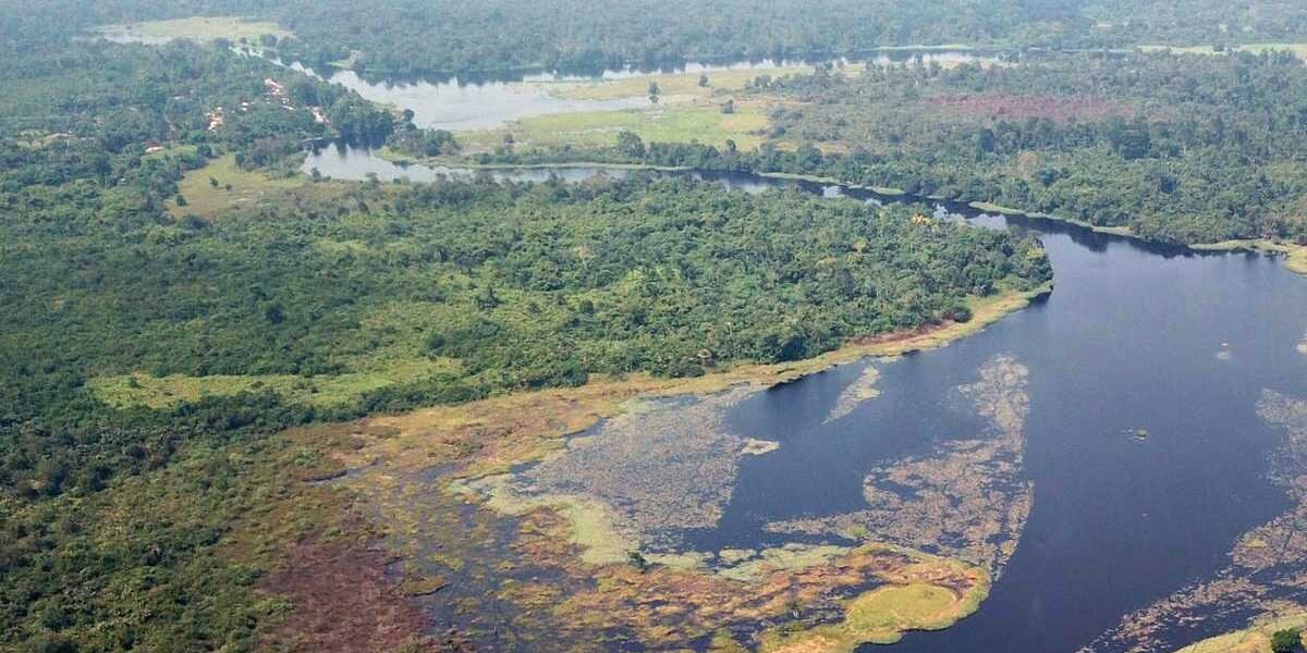 Congo Rainforest