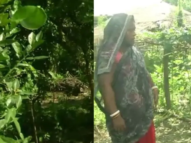 Sikandarpur-Have-Every-House-Kitchen-Garden
