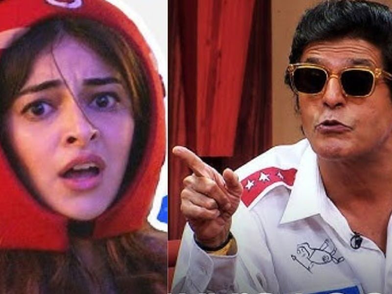 चंद फिल्मों के बाद ही खत्म हुआ अनन्या पांडे का करियर, एक्ट्रेस ने पकड़ी ये नौकरी, पापा चंकी को भी आएगी शर्म