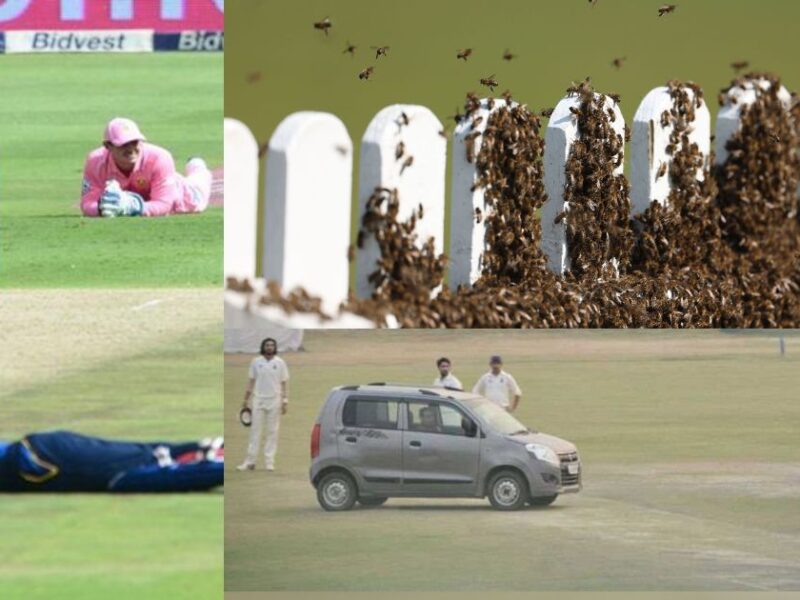 Car Entered The Field During Live Cricket Match