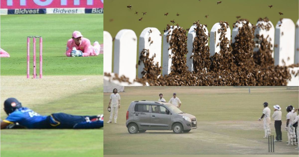 Car Entered The Field During Live Cricket Match