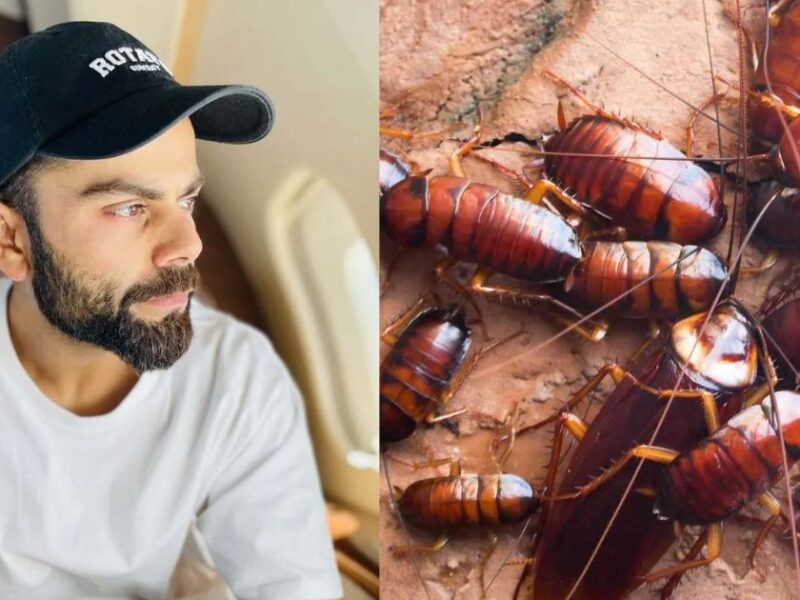 Was Virat Kohli Going To Eat Cockroach?