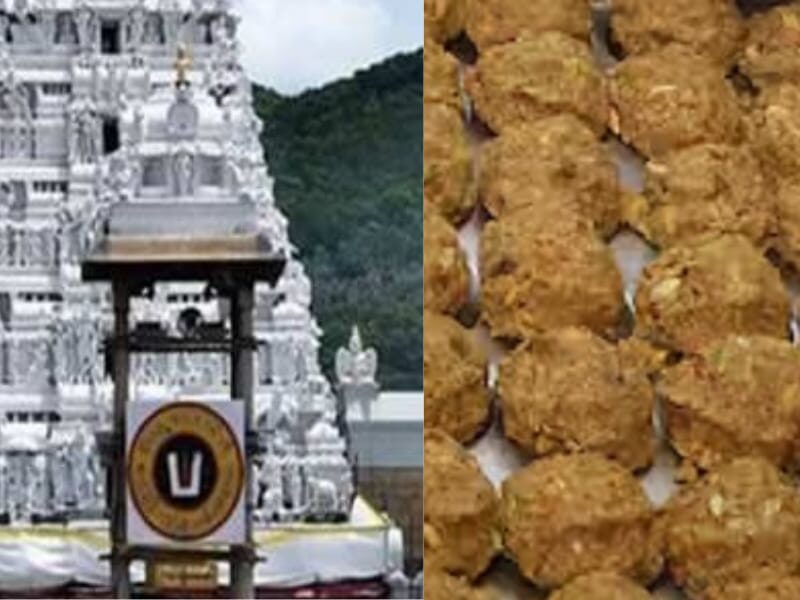 Every-Day-800000-Massive-Laddoos-Are-Prepared-At-The-Tirupati-Balaji-Temple-And-The-Size-Will-Leave-You-Astonished-While-The-Price-Will-Leave-You-Shocked
