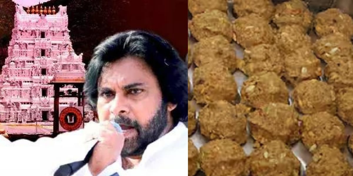 Until-Hindus-Unite-Pawan-Kalyan-Angered-By-Disturbing-Incident-At-Tirupati-Temple-Shares-Important-Thoughts-On-Religion