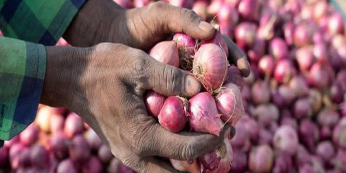 Onion Price