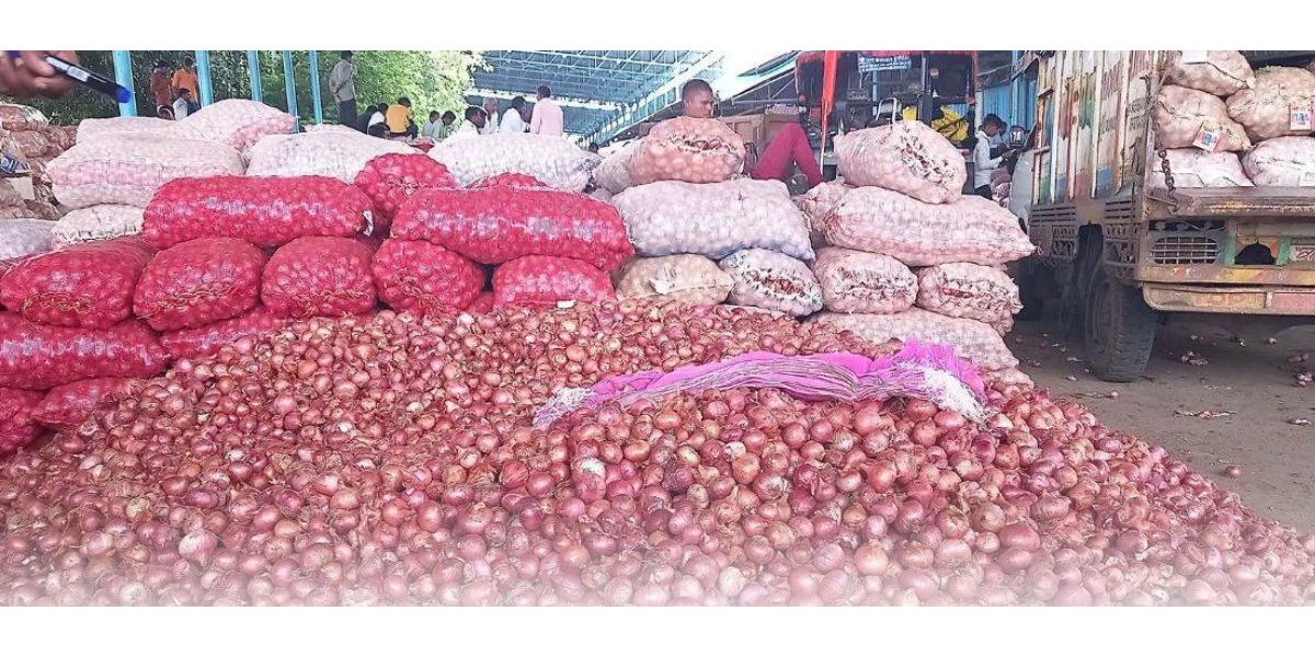 Onion Price