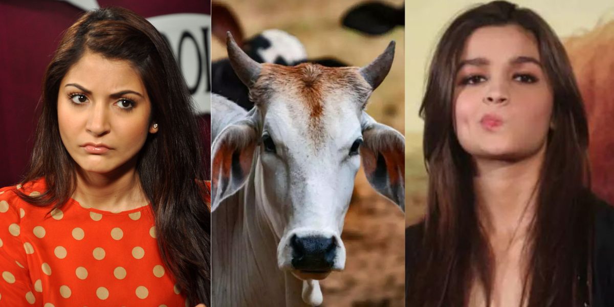 Alia-Bhatt-These-2-Bollywood-Actresses-Hate-Mother-Cow-Very-Much-While-Living-In-India-They-Give-Bold-Statements-Against-Hindu-Religion