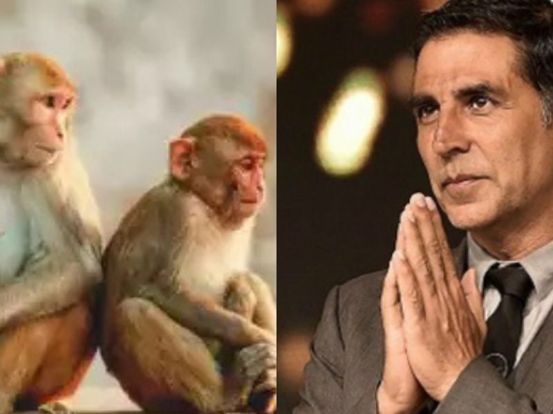 Akshay-Kumar-Donates-Crores-Of-Rupees-For-Monkeys-At-Dikhai-Daryadili-Ayodhya-On-Diwali