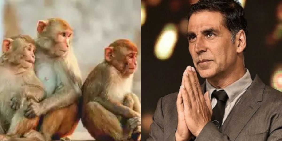 Akshay-Kumar-Donates-Crores-Of-Rupees-For-Monkeys-At-Dikhai-Daryadili-Ayodhya-On-Diwali