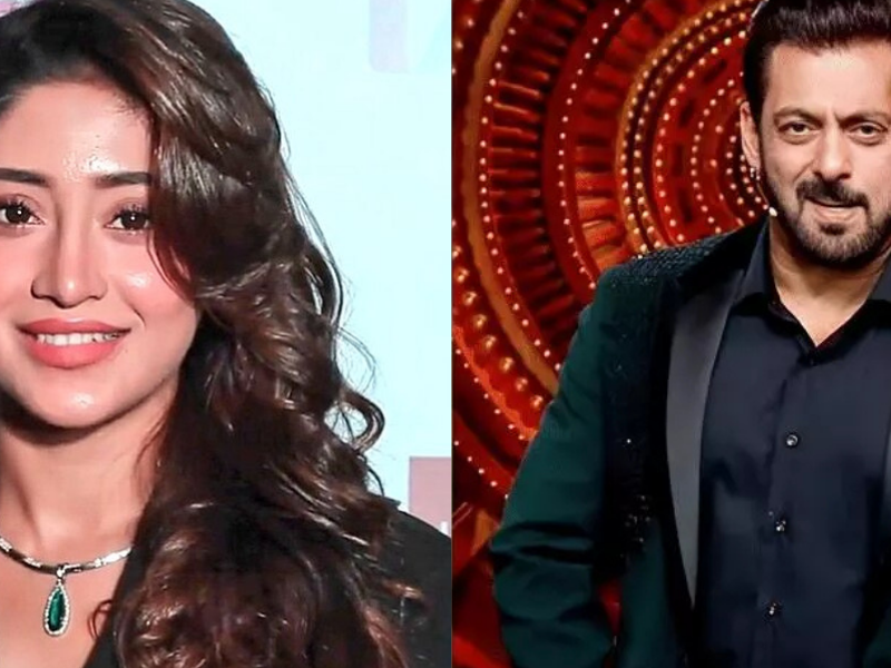 Bigg Boss 18: This Famous Actress Of Yrkkh Will Become The First Wild Card