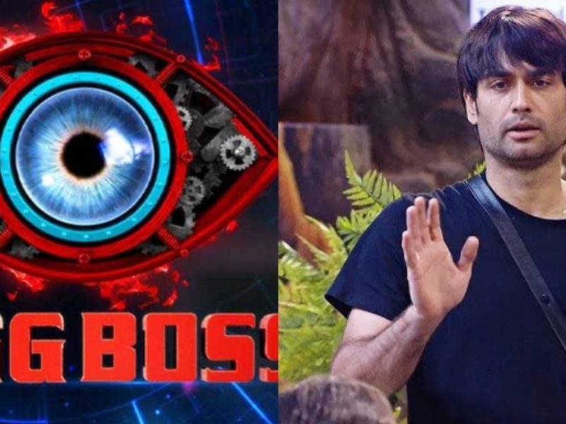 Bigg Boss 18 में विलेन बने विवियन डीसेना, इन 5 मौकों पर नेशनल टीवी पर करवाई अपनी थू-थू