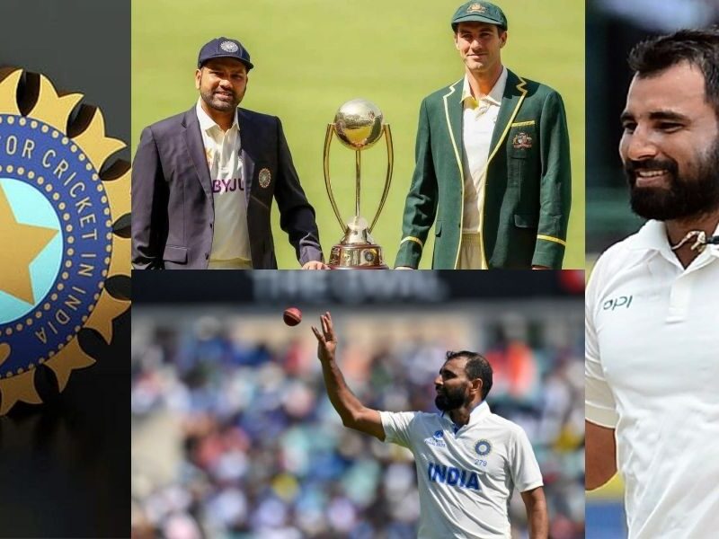 Mohammed Shami Will Enter The Border Gavaskar Trophy