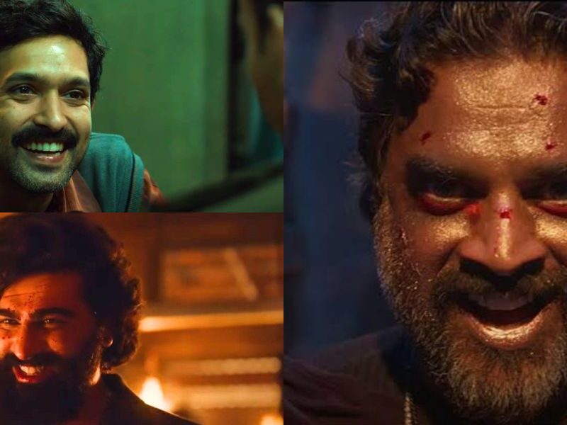 These Bollywood Actors Stole The Show By Becoming Villains In The Year 2024