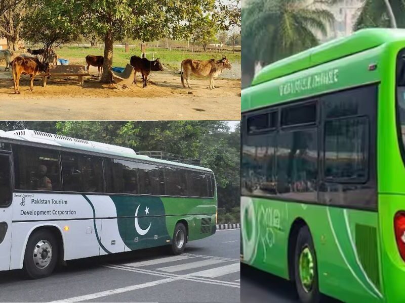 Pakistan