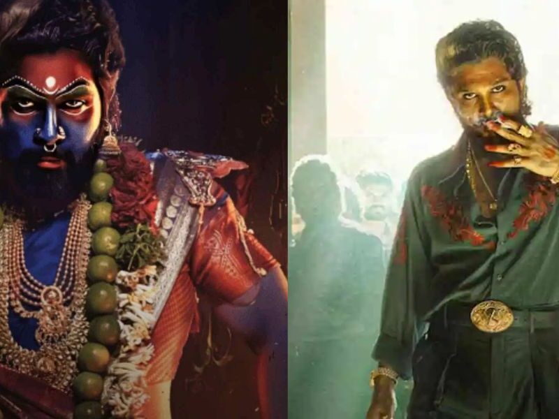 5 Flaws Of Pushpa 2, The Audience Kept Searching For Answers After Watching The Film
