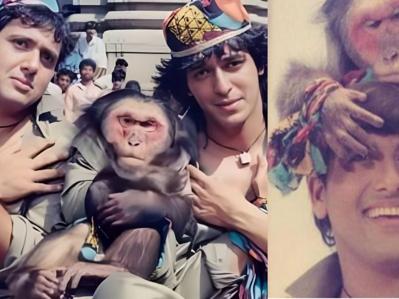 In The Film 'Aankhen', The Monkey Got More Fees Than Govinda And Chunky Pandey