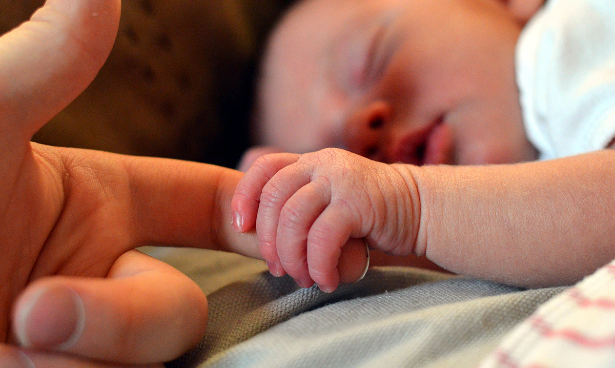 Fertility Rate