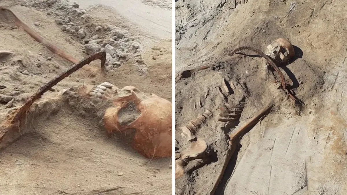Witch Skeleton