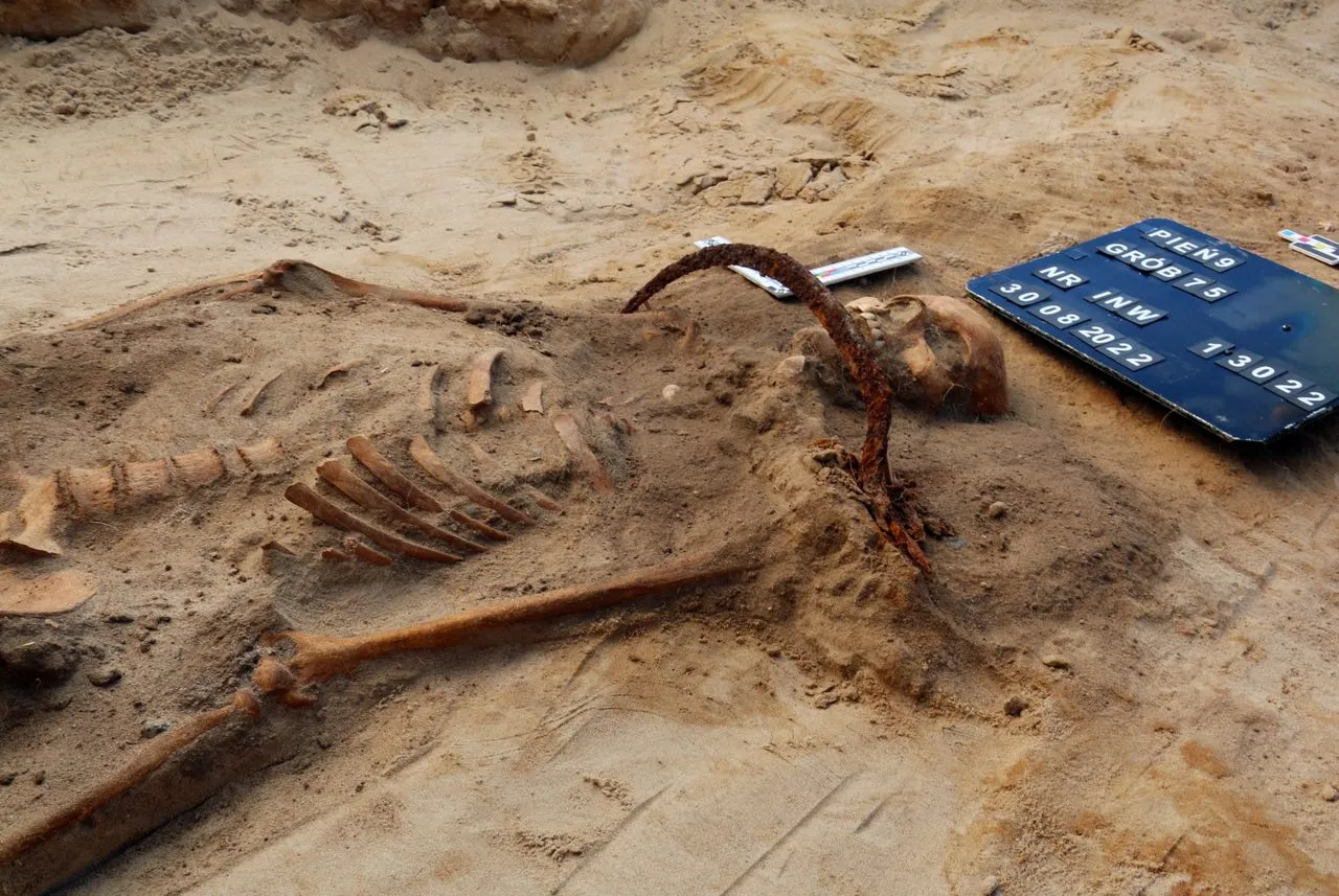 Witch Skeleton