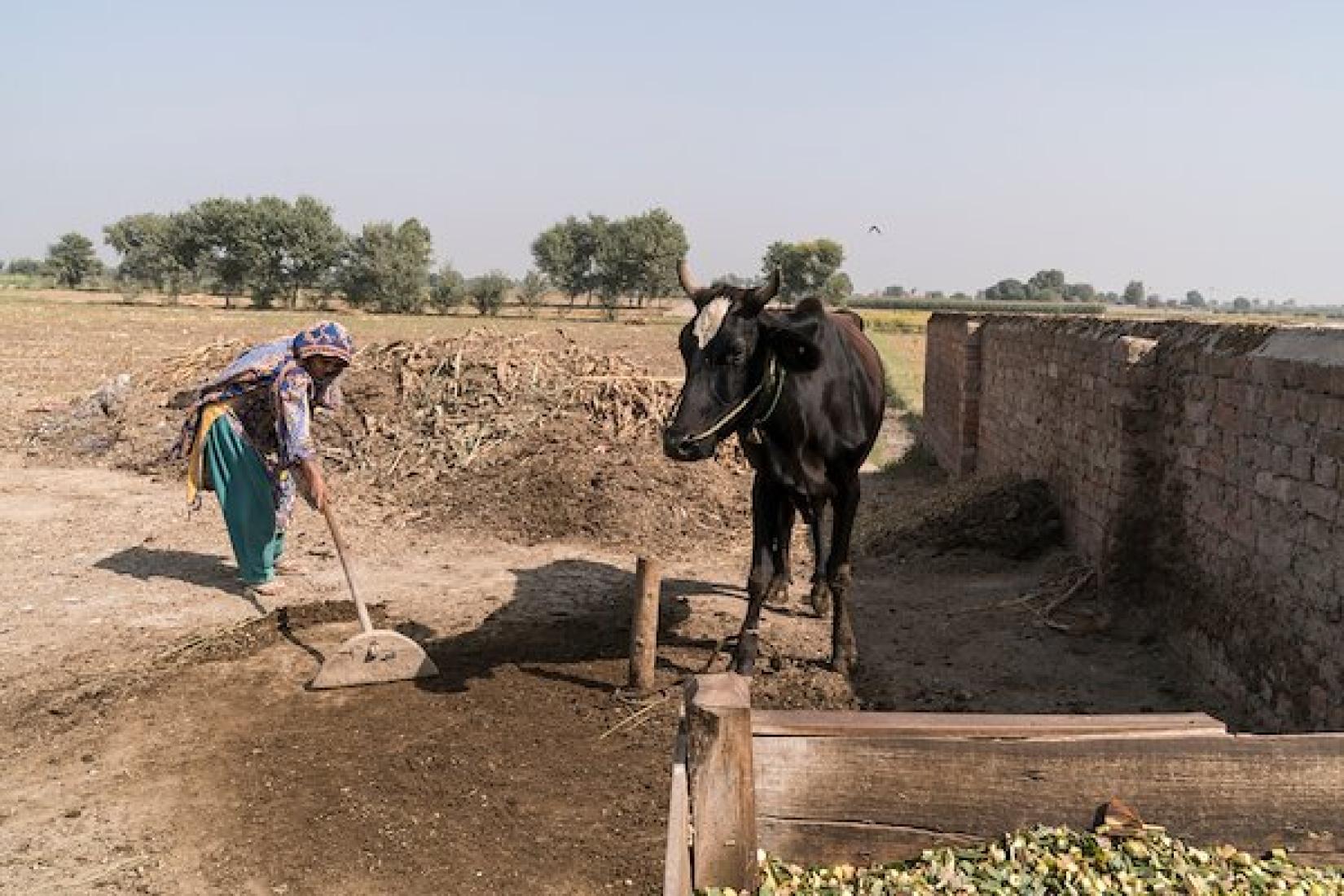 Pakistan