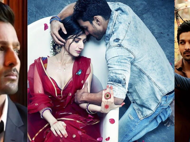 That Scene Of 'Sanam Teri Kasam' Where Harshvardhan Got A Perfect Performance After 40 Takes