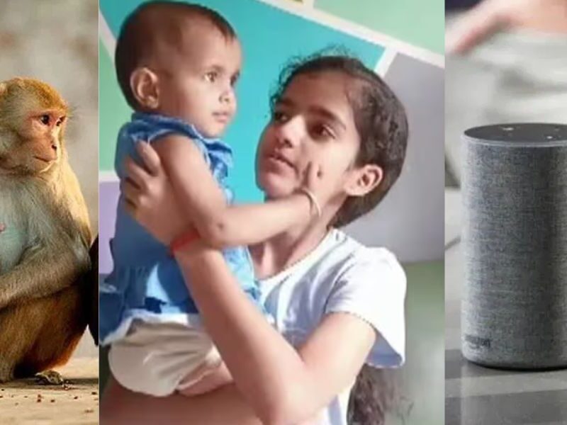Alexa-Saved-Innocent-Childs-Life-From-Monkey