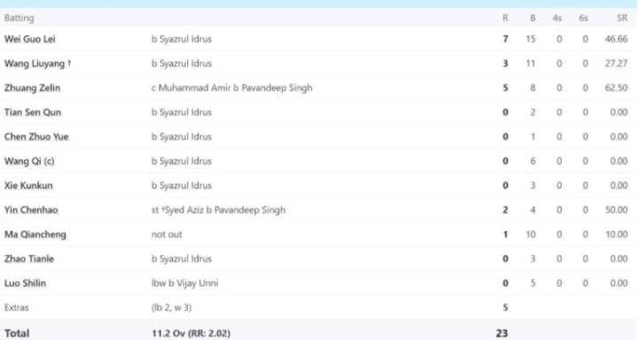 Cricket Record