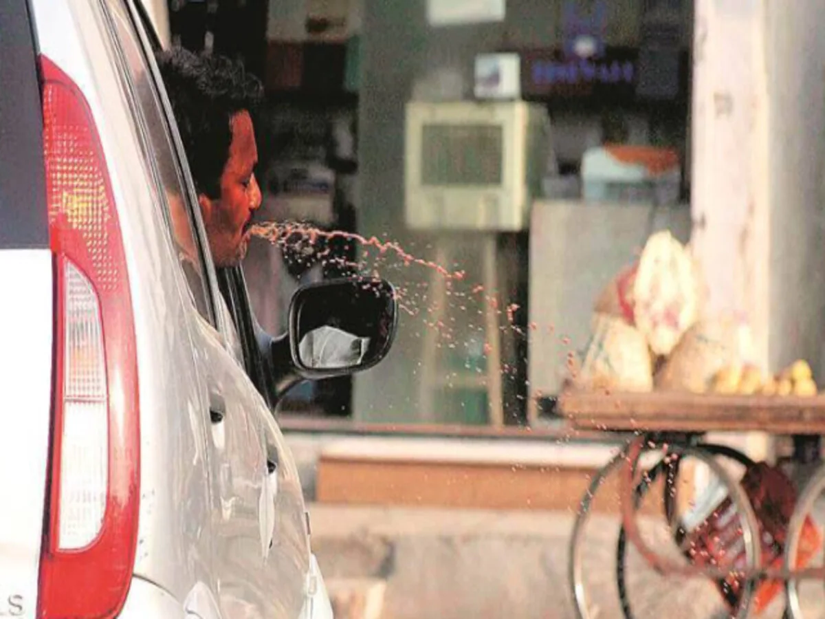 Ban Gutkha
