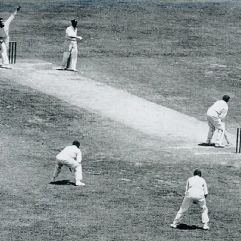 Cricket Record