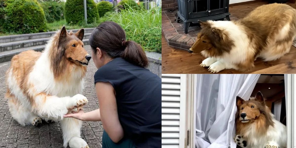 Viral-News-Man-Transformed-From-Human-Into-Dogs