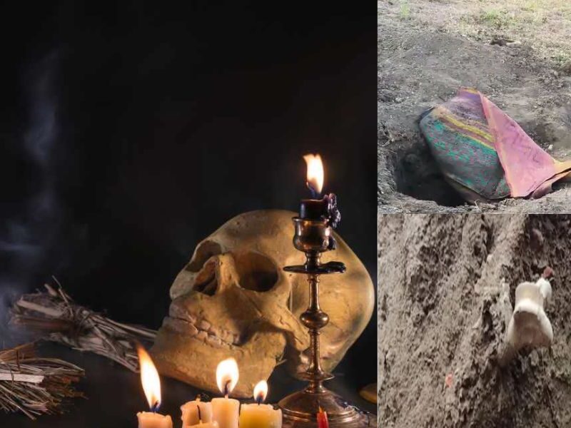 Bodies-Were-Stole-From-Graves-In-Ujjain-News
