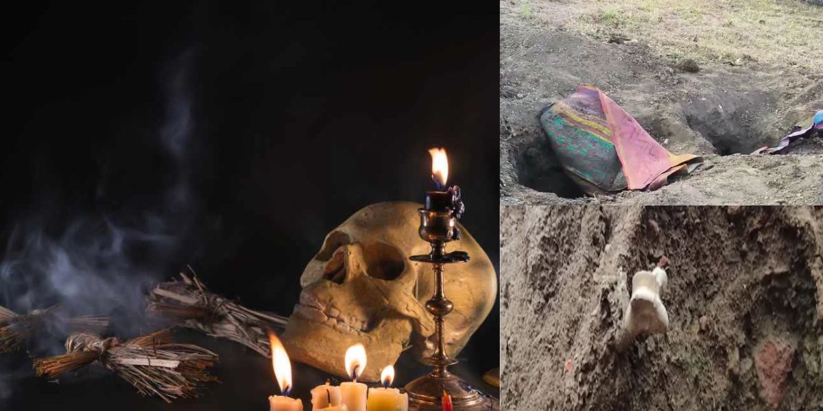 Bodies-Were-Stole-From-Graves-In-Ujjain-News