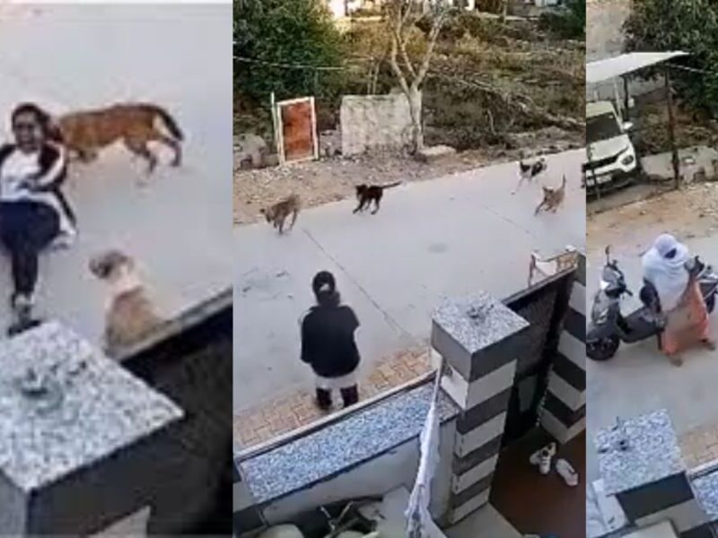 In-Viral-Video-Old-Lady-Save-Life-Of-Girl