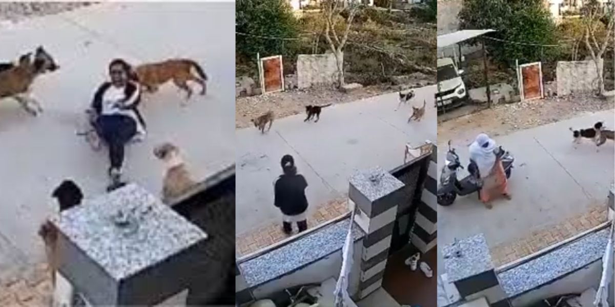 In-Viral-Video-Old-Lady-Save-Life-Of-Girl