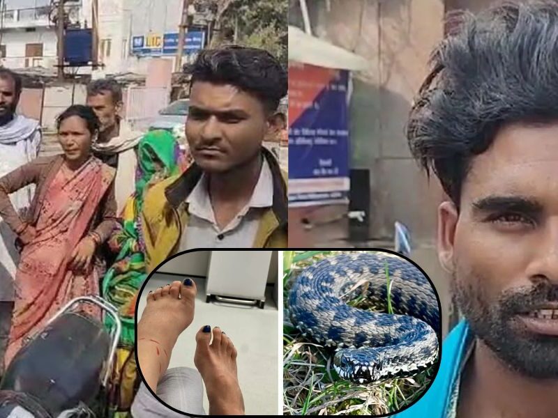 In Uttar Pradesh, Naagin Sat On A Woman'S Bed From Midnight Till Morning