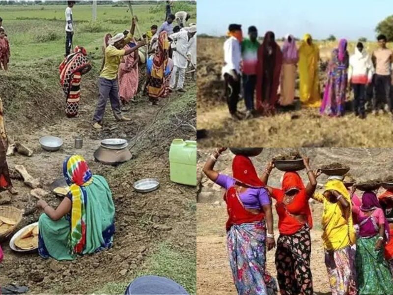 Fake Mgnrega