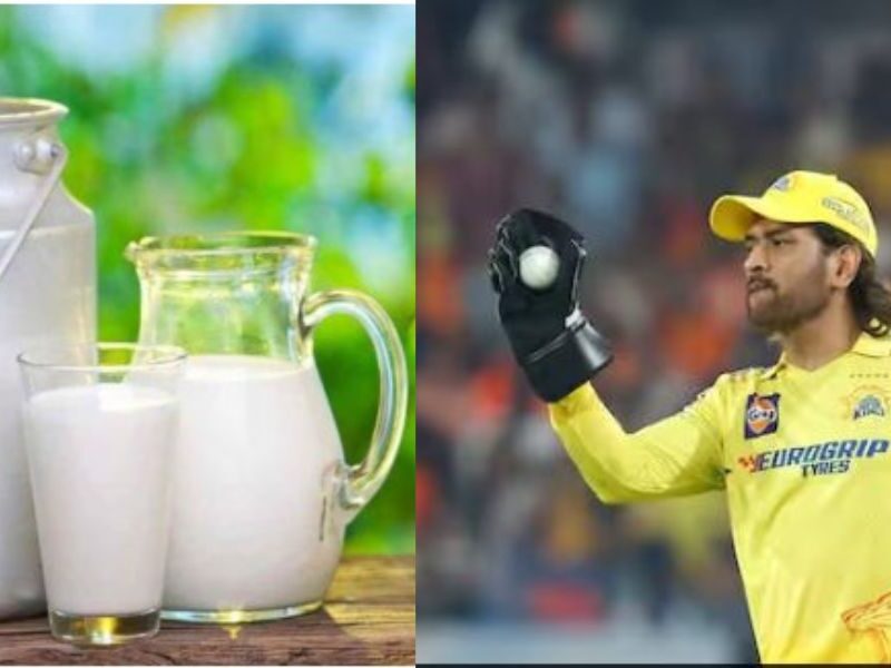 Dhonis-Six-Secret-5-Liters-Of-Milk-A-Day