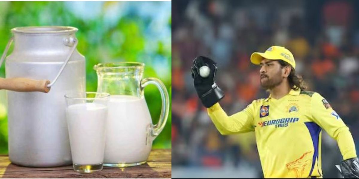 Dhonis-Six-Secret-5-Liters-Of-Milk-A-Day