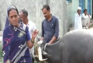 Viral News