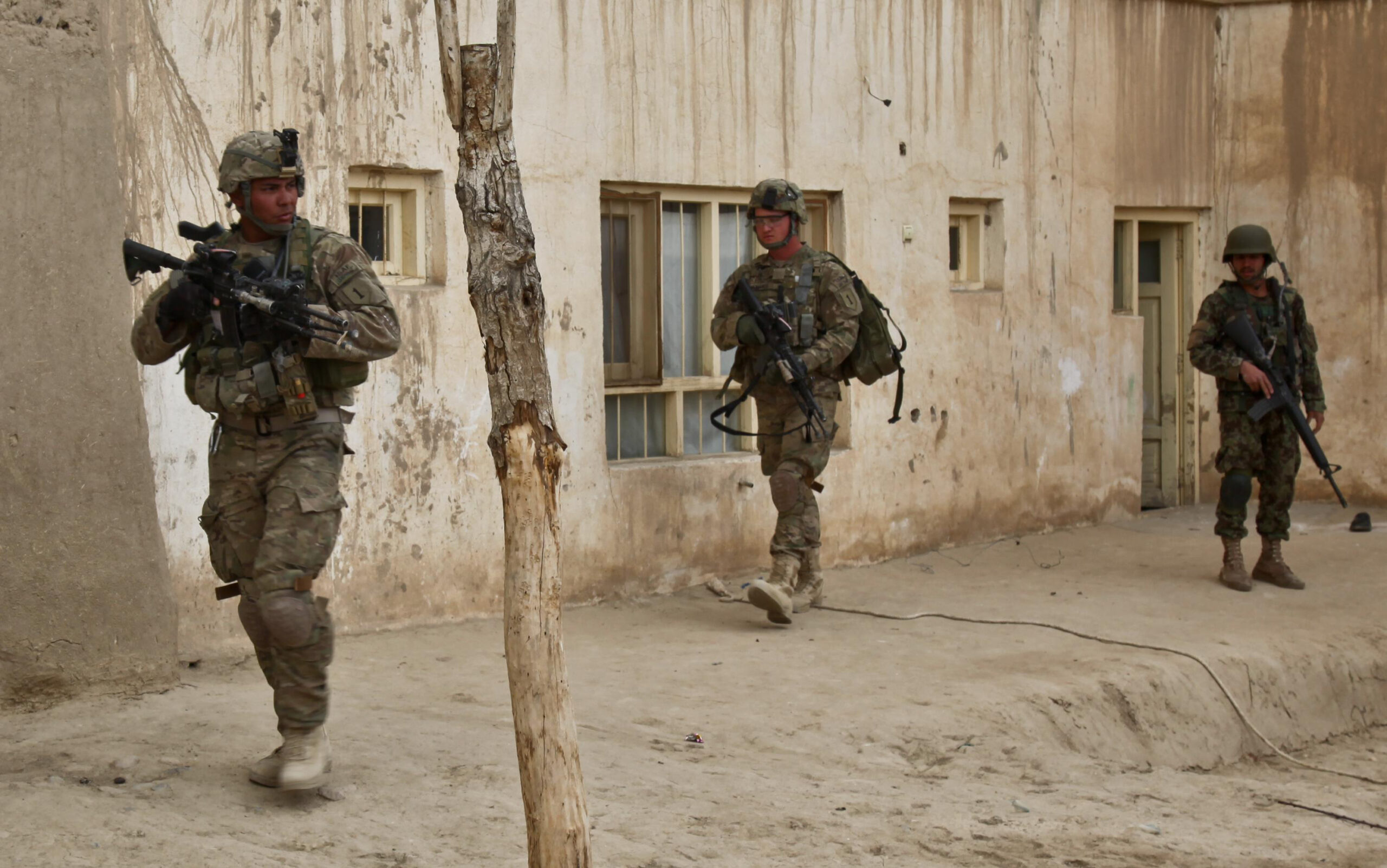 Search Operation
