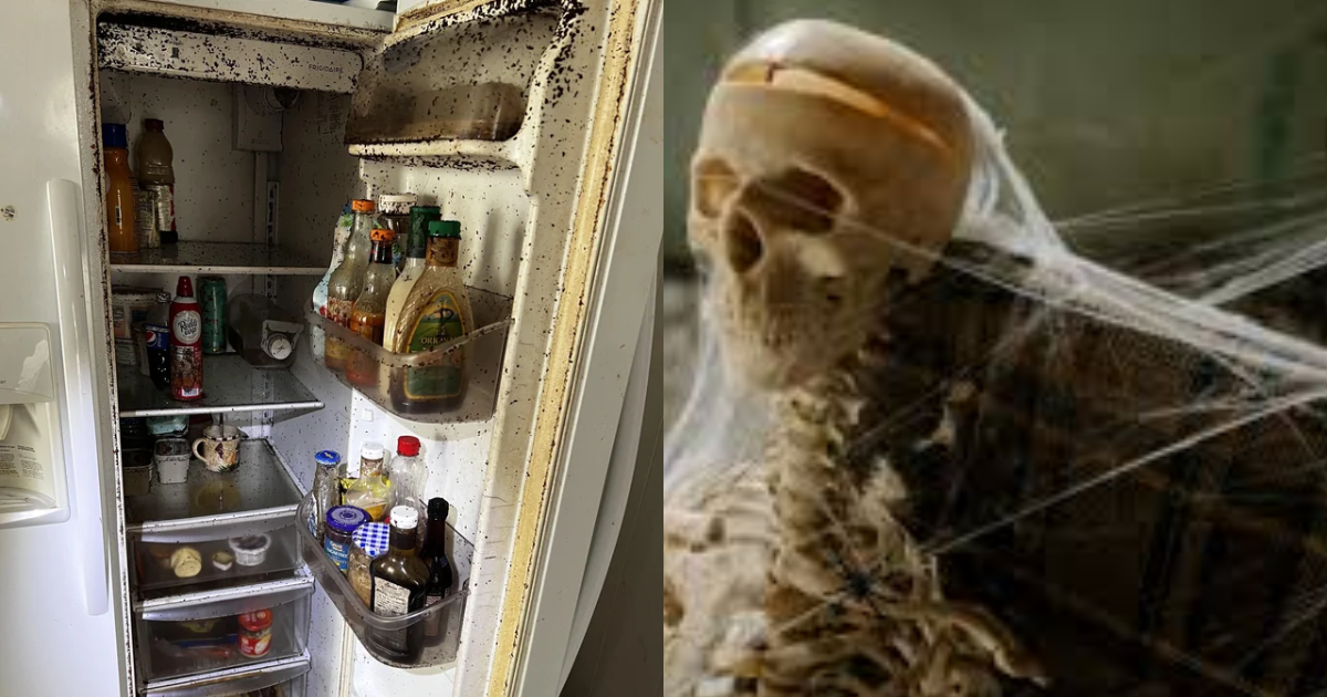 Human Skull And Bones Found In Foil