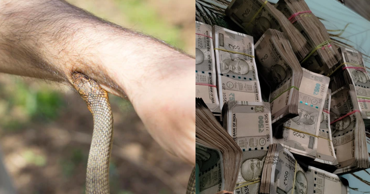 A-Single-Person-Was-Bitten-By-A-Snake-30-Times-And-Each-Time-He-Got-Rs-4-Lakh-Compensation-You-Will-Be-Shocked-To-Know-The-Case