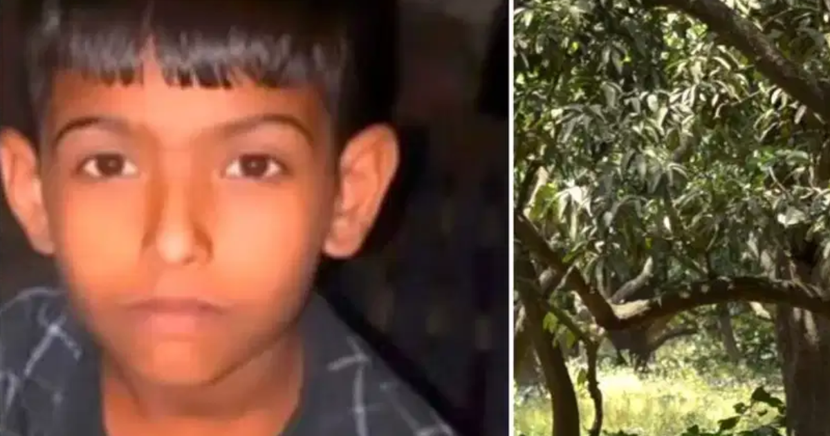11 साल के बच्चे पर 12 वार, आंख और प्राइवेट पार्ट पर भी घोंपा चाकू, नकाबपोश बदमाश की क्रूरता से दहला लोगों का दिल 2 Child Murdered In Mango Orchard
