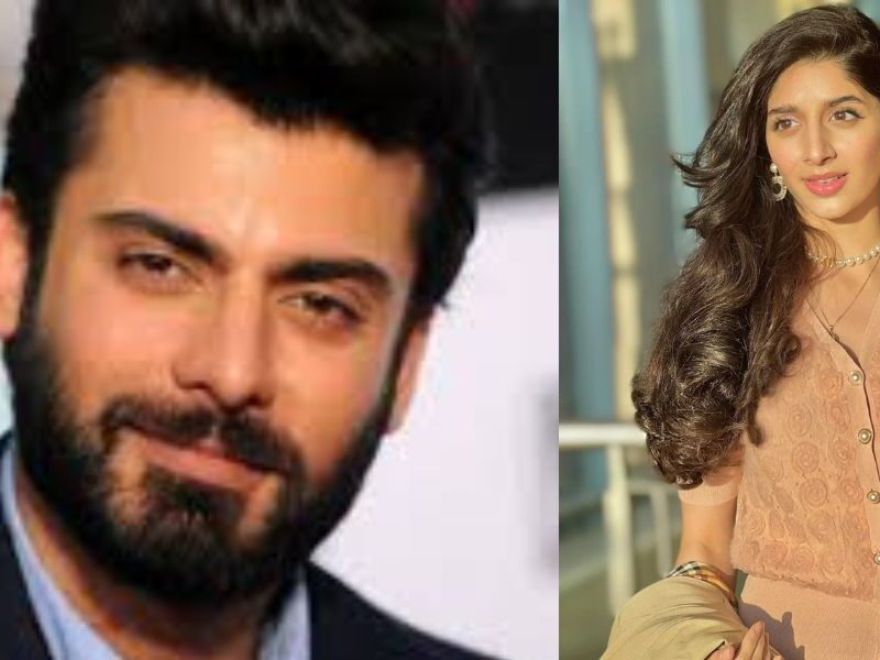 Will These 2 Pakistani Stars Be Able To Work In India Again?