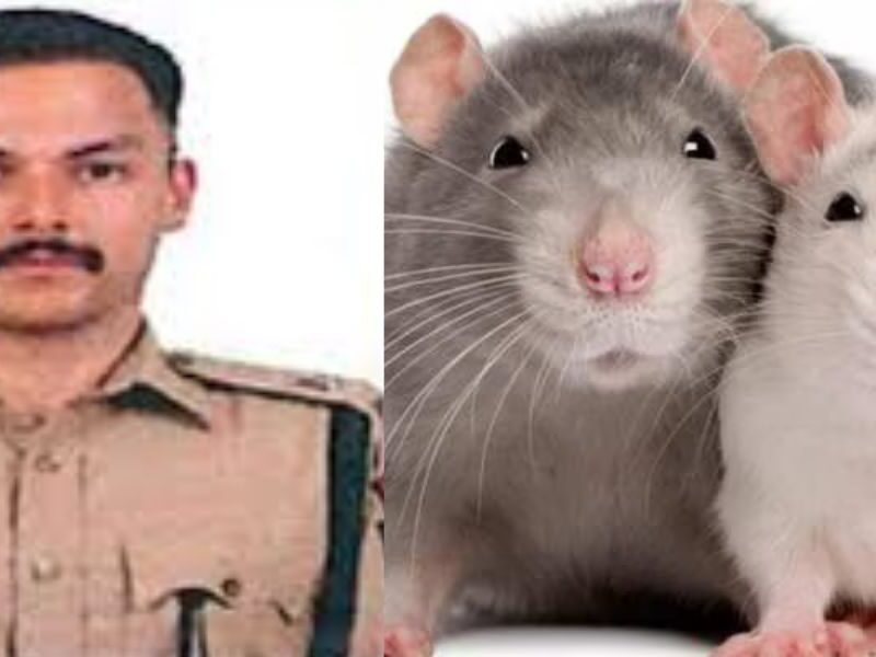 Ips Rohan Jha