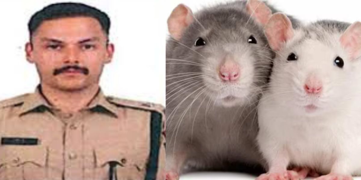 Ips Rohan Jha