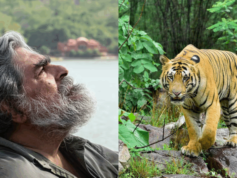 India'S 'Tiger Man' Said Goodbye To The World