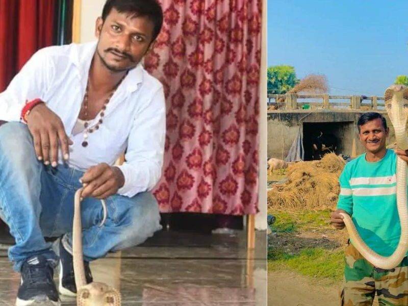 Snake Man, Who Saved The Lives Of 2000 Snakes, Died Of Poison