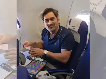 Ipl