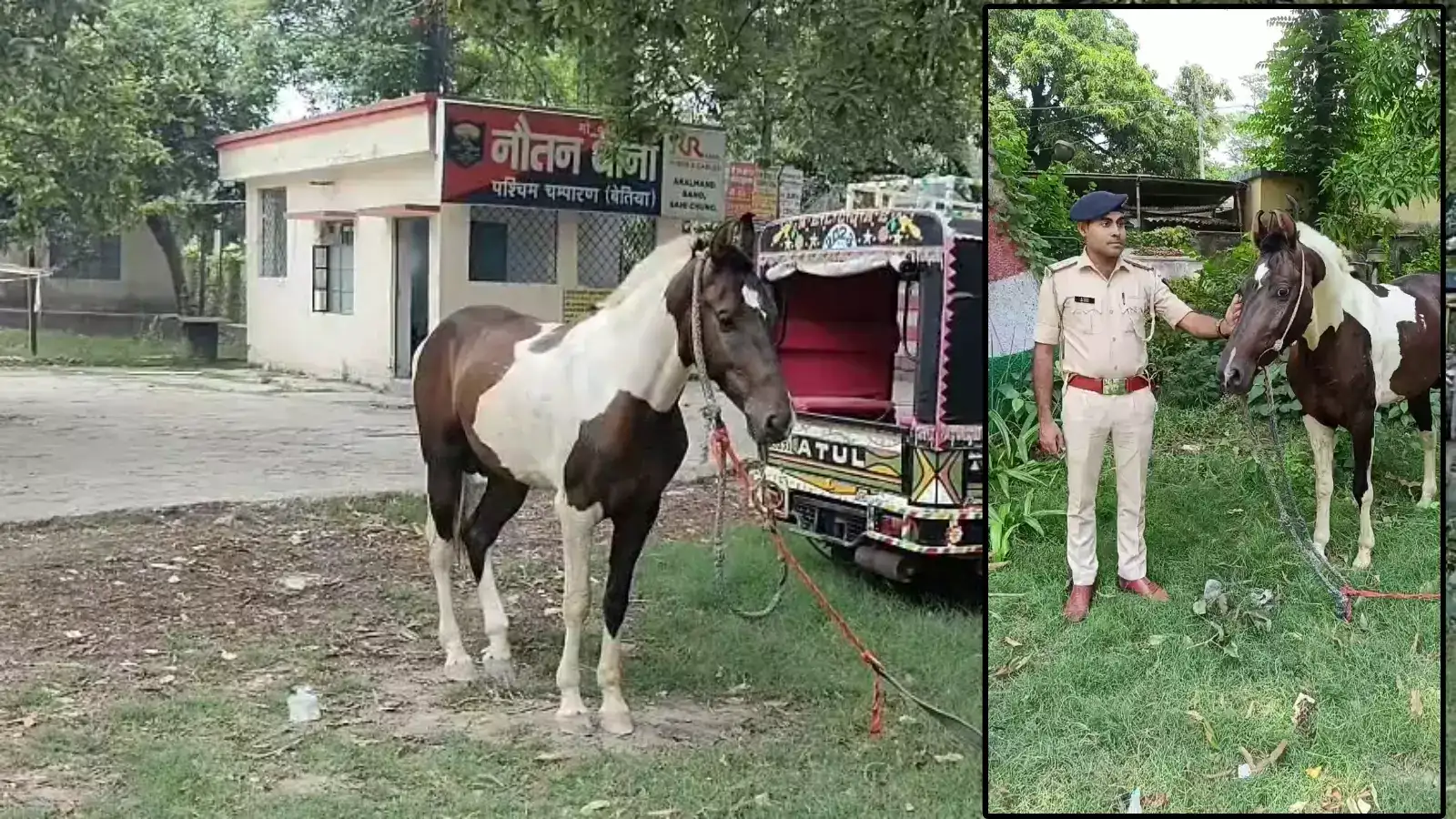 Viral News